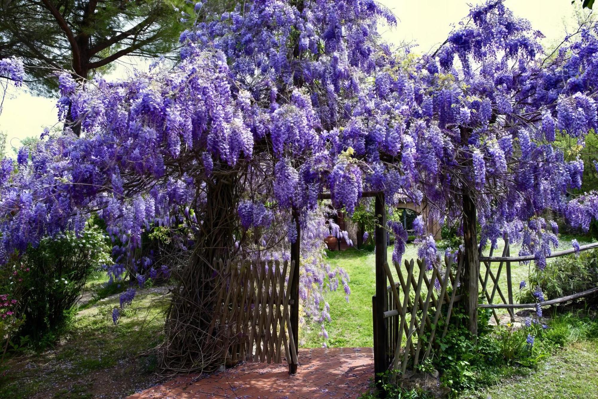 Molino In Chianti Villa Mercatale Val Di Pesa Eksteriør billede