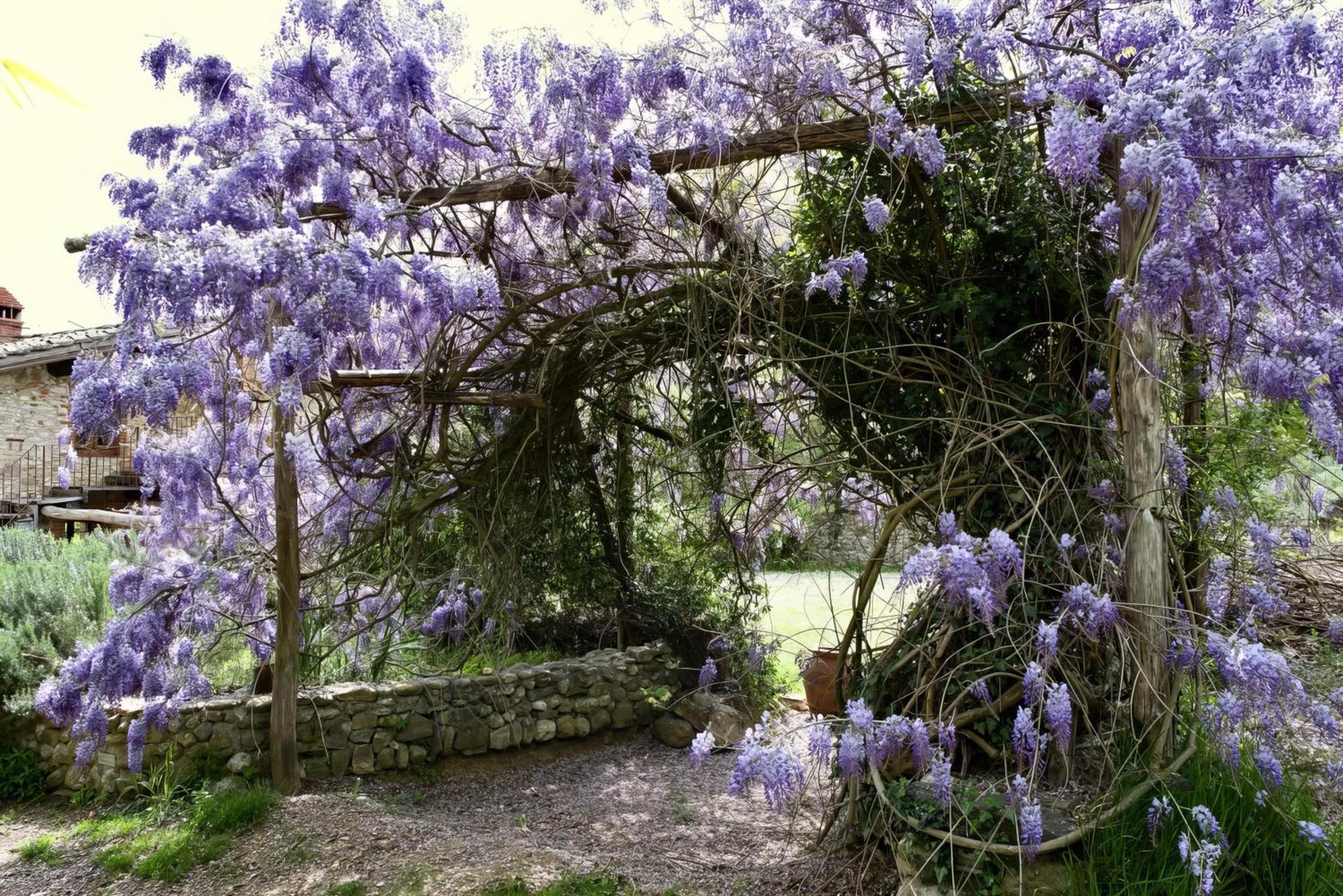 Molino In Chianti Villa Mercatale Val Di Pesa Eksteriør billede